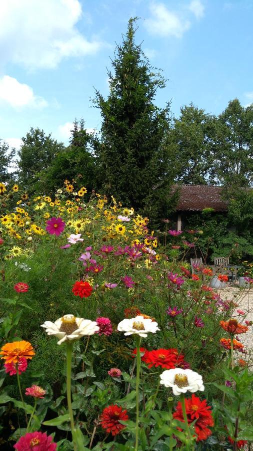 Reuver B&B Het Mooie Uitzicht מראה חיצוני תמונה