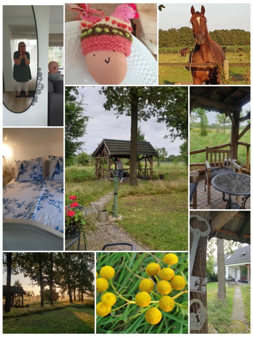 Reuver B&B Het Mooie Uitzicht מראה חיצוני תמונה